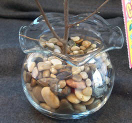 Fill a container with stones and a branch